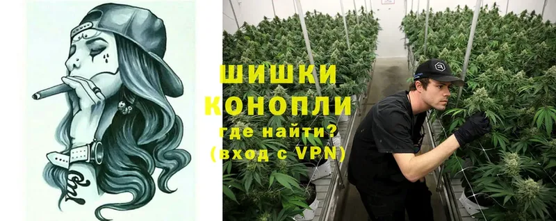 Шишки марихуана White Widow  Данков 